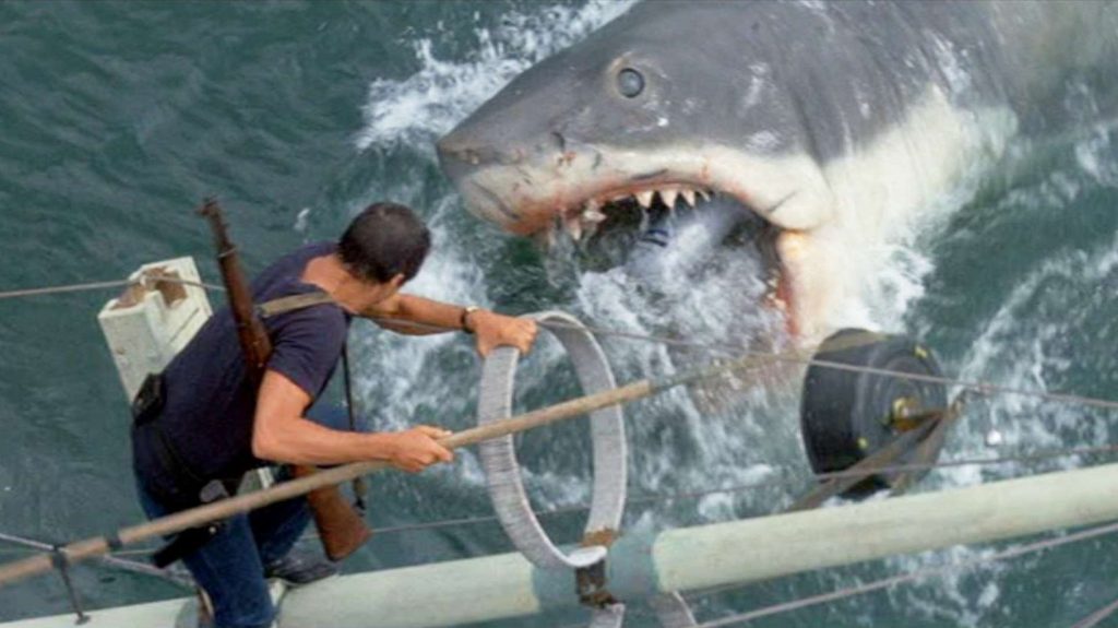 Roy Scheider fights off a shark in "Jaws"